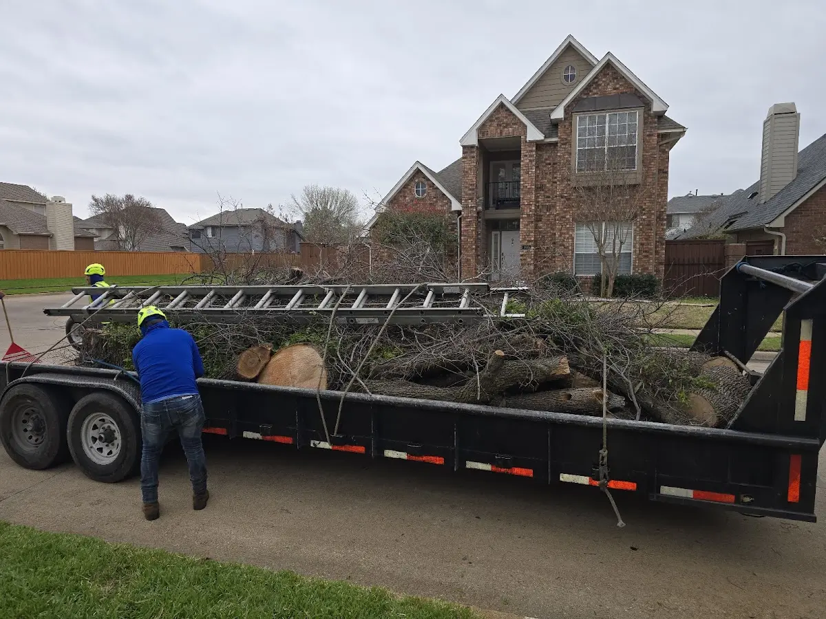 Expert Lot Clearing with proper safety equipment in Pine Beach